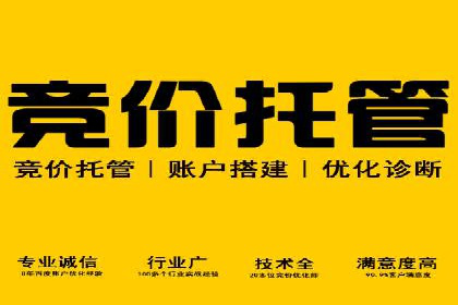 SEO策略在电商平台的成功应用案例